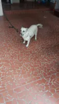 Mimi