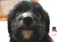 Luar