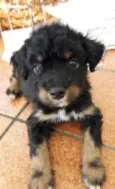 Billy