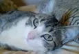 ZÉ