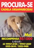 Mel