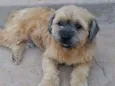 Jack