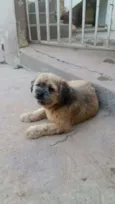 Jack