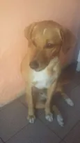 Barão 