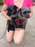 Lipi e Bibi