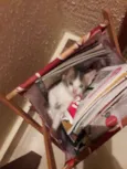 Mimi