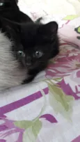 Bebês fofinhos