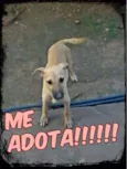 Sem nome