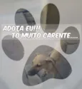 Sem nome