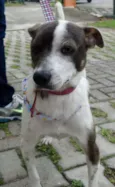 Ritinha