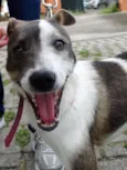 Ritinha