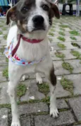 Ritinha