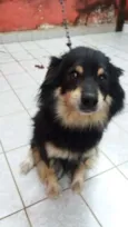 Duke