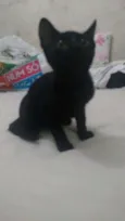 Os dois não tem nome