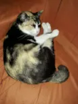 Fiona