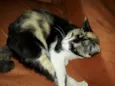 Fiona