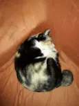 Fiona