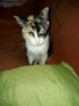 Fiona