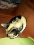 Fiona