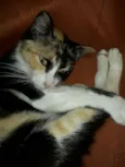 Fiona