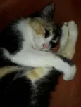 Fiona