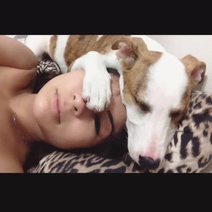 Cachorro ra a Vira-lata  idade 2 anos nome Mika