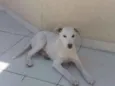 Yuki
