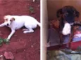 Neguinha e Lana