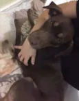 Mel