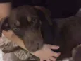 Mel