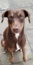 Mel