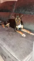 KIKI