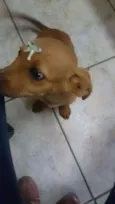 Cristal e Agnaldo