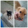 Cristal e Agnaldo