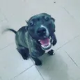 Zira