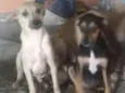 lara e Estefany 