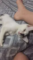 Linda