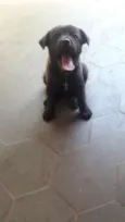 Pepa