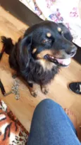 Bob