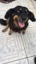 Bob