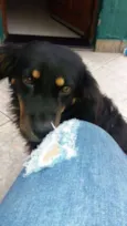Bob