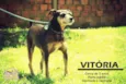 Vitória