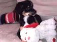 Mabel