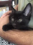 Chloe