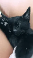 Chloe
