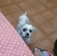 não sei