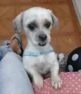 não sei