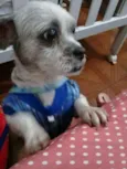 não sei