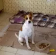 Dudu