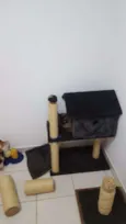 Sam